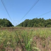 Clay County - 77.5 Acres - Mhoon Valley Honey Hole images 4