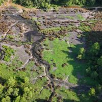 Clay County - 77.5 Acres - Mhoon Valley Honey Hole images 5