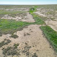 Kiowa 325 images 2