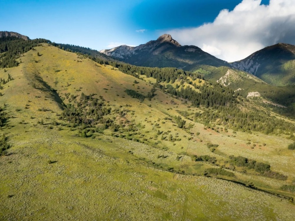 Bridger Foothills Parcel 1 featured image