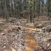 160 acre Hunting Recreation Timber Land