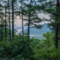 Jackfork Ranch A Hidden Gem for Visionary Development and Outdoor Enthusiasts images 2