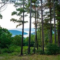 Jackfork Ranch A Hidden Gem for Visionary Development and Outdoor Enthusiasts images 4