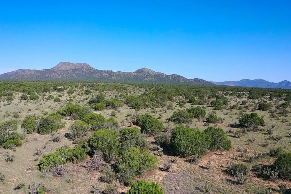 Freedom Ranch featured image