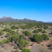 Freedom Ranch