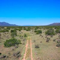 Freedom Ranch images 2