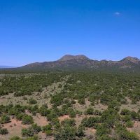 Freedom Ranch images 3