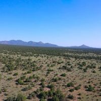 Freedom Ranch images 4