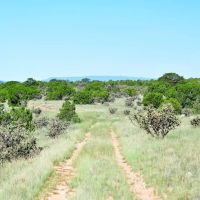 Freedom Ranch images 5