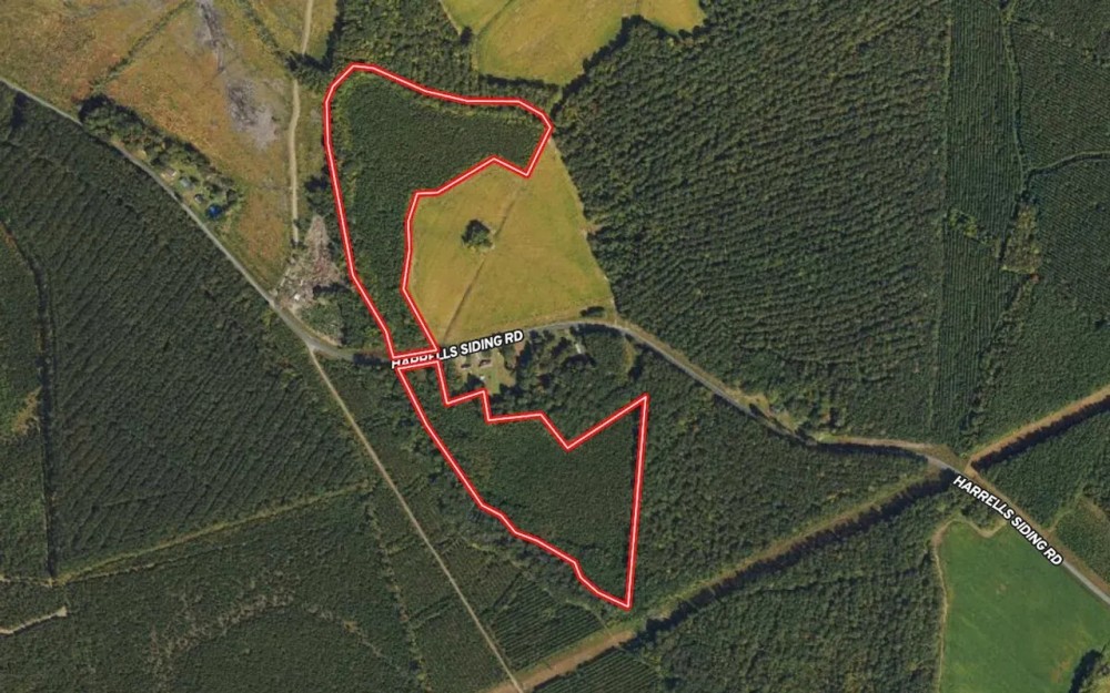 34.5 acres of Unrestricted timber Land For Sale in Bertie County NC featured image
