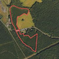 34.5 acres of Unrestricted timber Land For Sale in Bertie County NC