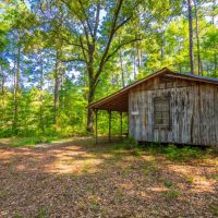 Henderson Creek Ranch images 5