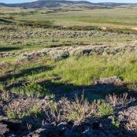 Carter Mountain HMA, 83174 Acres, Deer hunting land in  Park, WY