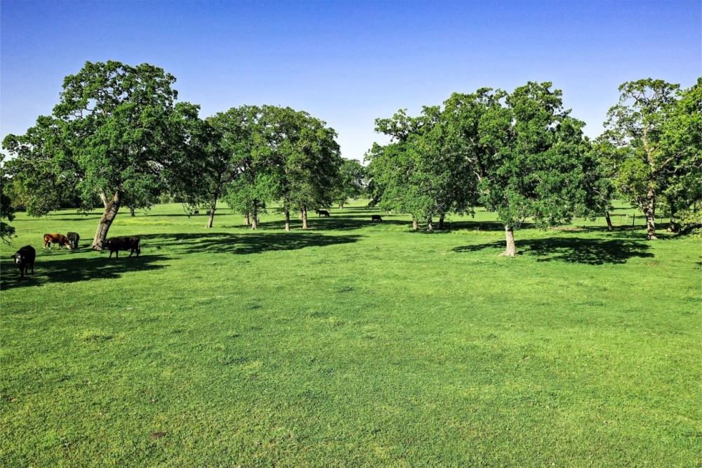 661 B FM 2550 Walker County TX featured image