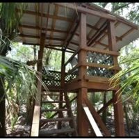 Hunting Preserve 370 - acres on Charlie Creek images 5