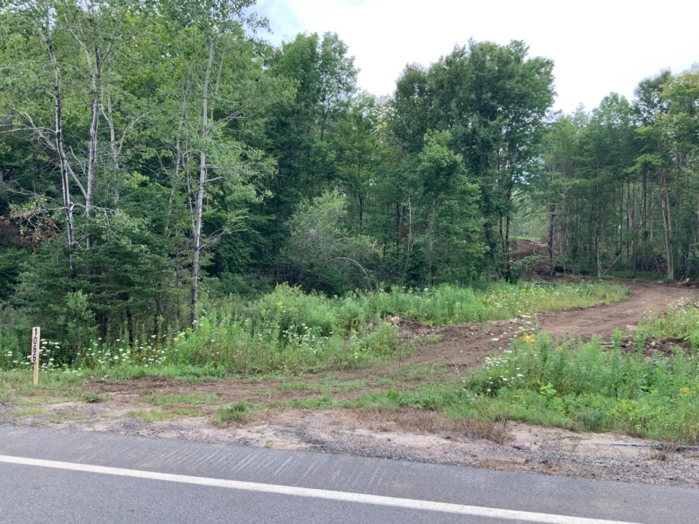 84 acres Adirondack Hunting Land Stratford NY featured image