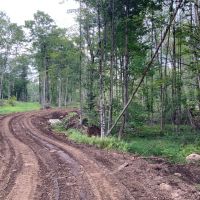 84 acres Adirondack Hunting Land Stratford NY images 3