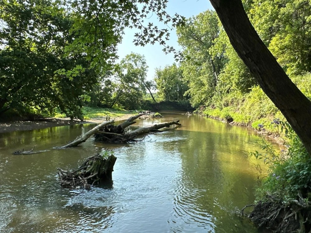 Brouilletts Creek 60 featured image
