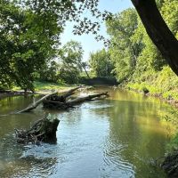 Brouilletts Creek 60