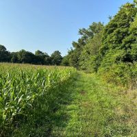 Brouilletts Creek 60 images 3