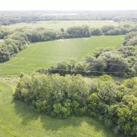 Brouilletts Creek 60 images 4