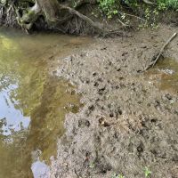 Brouilletts Creek 60 images 5