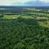 15.573 Ac CR 1050 Houston County TX images 5