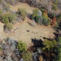 152 acres M L Weakley County TN images 4