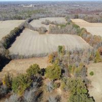152 acres M L Weakley County TN images 5