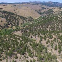 Cow Creek Grazing Ranch images 4