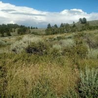 Duncan Ranch HMA, 7277 Acres Deer and turkey Hunting Land in Converse, WY