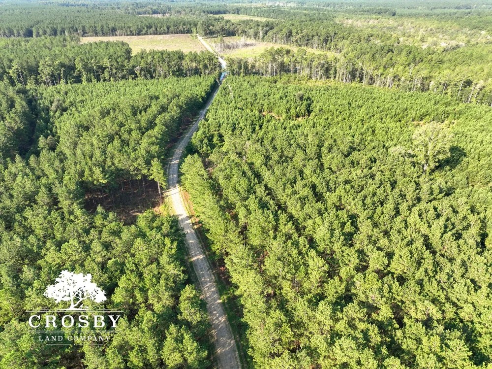 Providence Tract featured image