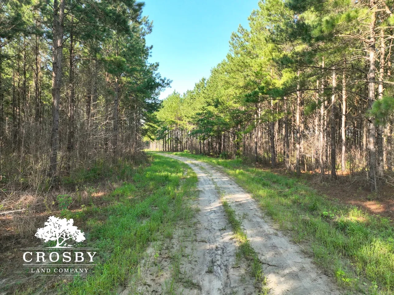 Providence Tract Hunting Land for Sale