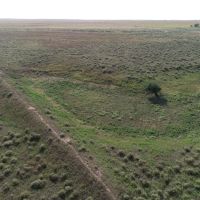 Hunting and Livestock Oasis in the Texas Panhandle images 2