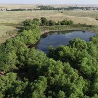 Hunting and Livestock Oasis in the Texas Panhandle images 4