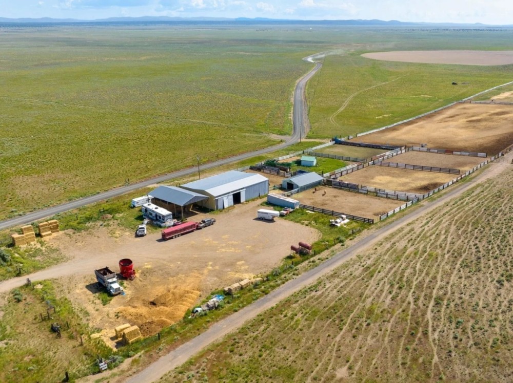 The New Moffitt Ranch featured image