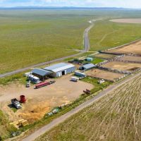 The New Moffitt Ranch images 1