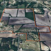 314 Acres Trenton TX Fannin County North Texas Development Opportunity images 3
