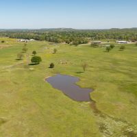 Little Sallisaw Creek Cattle Ranch images 3