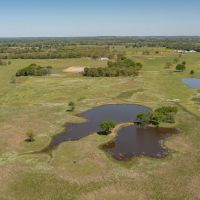 Little Sallisaw Creek Cattle Ranch images 4