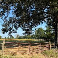 TBD CR 2242 N Bagwell TX 75412 images 3