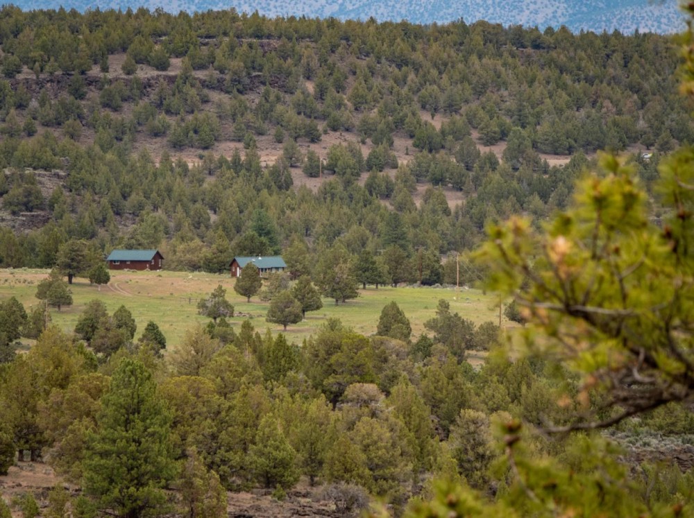 Pitcher Ranch featured image