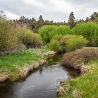 Pitcher Ranch images 3