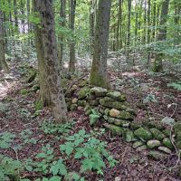 Maple Knoll images 3