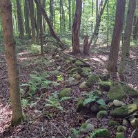 Maple Knoll images 4