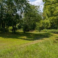 New PropeEast Tennessee Hunting Property for Sale- 687 Big Springs Road Eidson TN 37731rty images 4