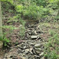 29 acres Hunting Land and Recreational Land in Cayuta NY NY-224 images 3