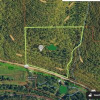29 acres Hunting Land and Recreational Land in Cayuta NY NY-224 images 5