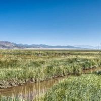 Colorado Ranch Large Acreage with Creek images 3