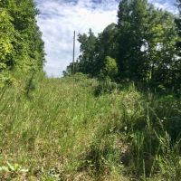 40 Acres Joins Missouri State Land Missouri Conservation Land. Shannon County images 5